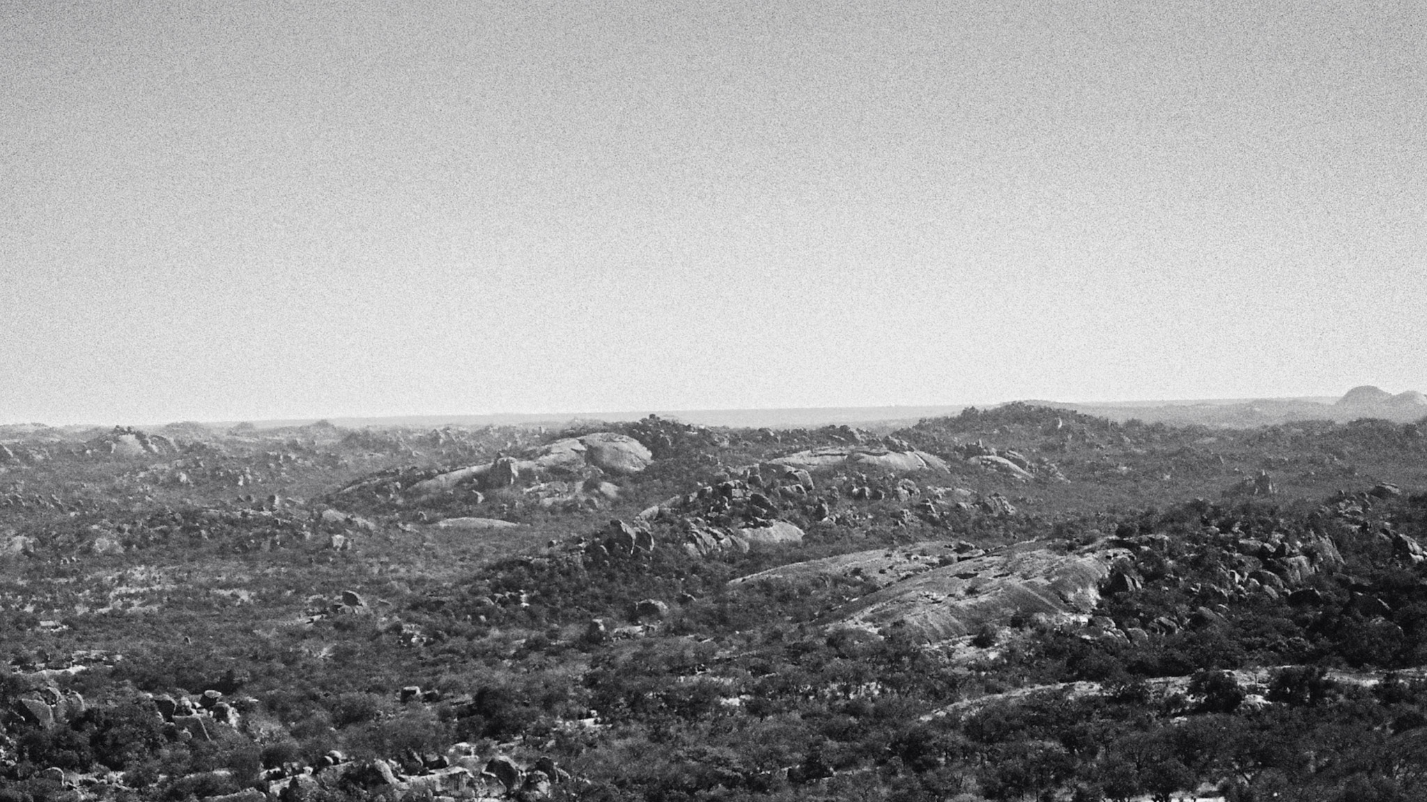 Black and white landscape terrain where massive granite boulders appear to dot the speckled landscape like hailstones after a storm, interspersed against thick and verdant shrub