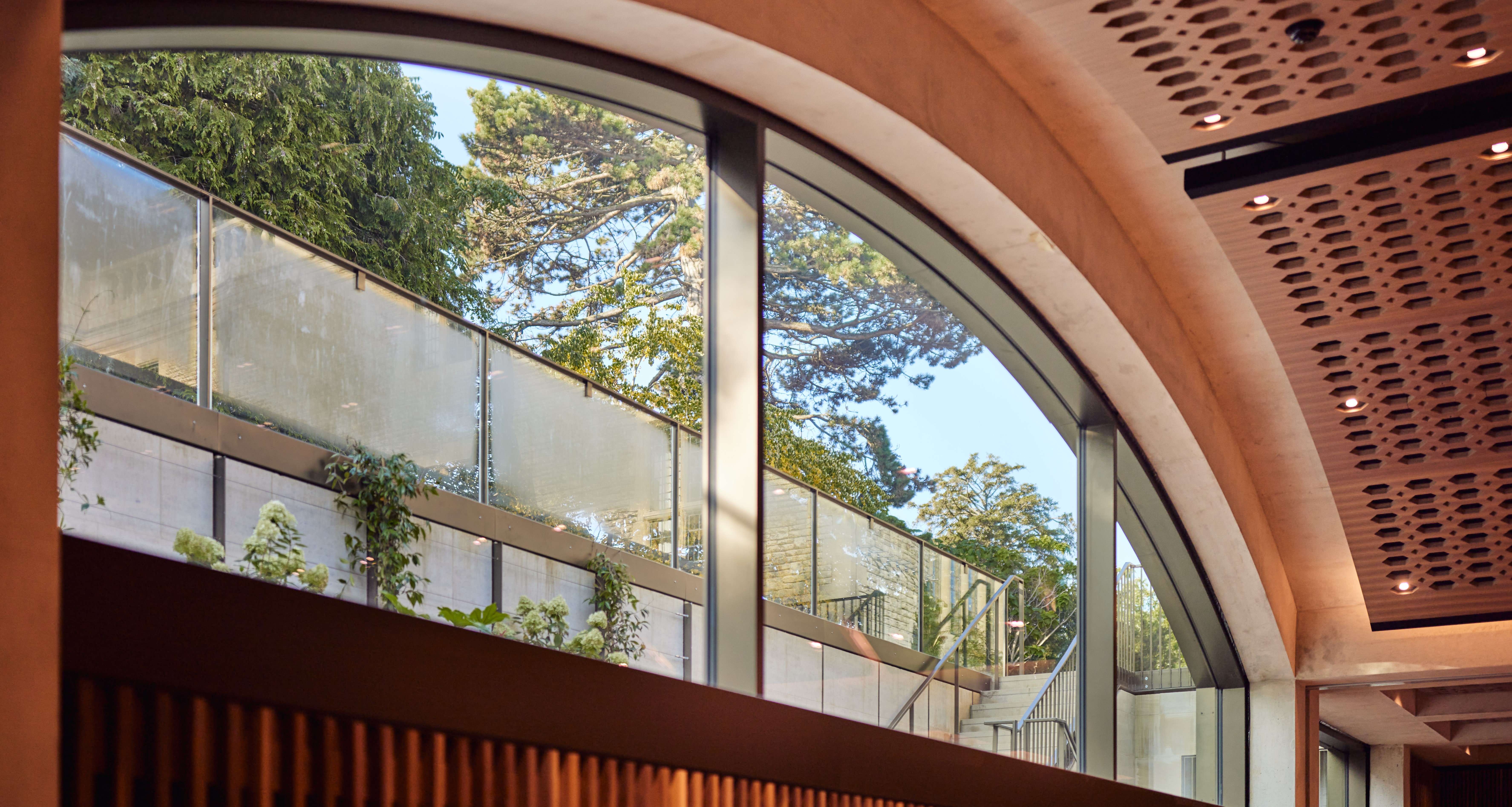 Conference Hall clerestory window looking out to the Rhodes House garden in daylight.