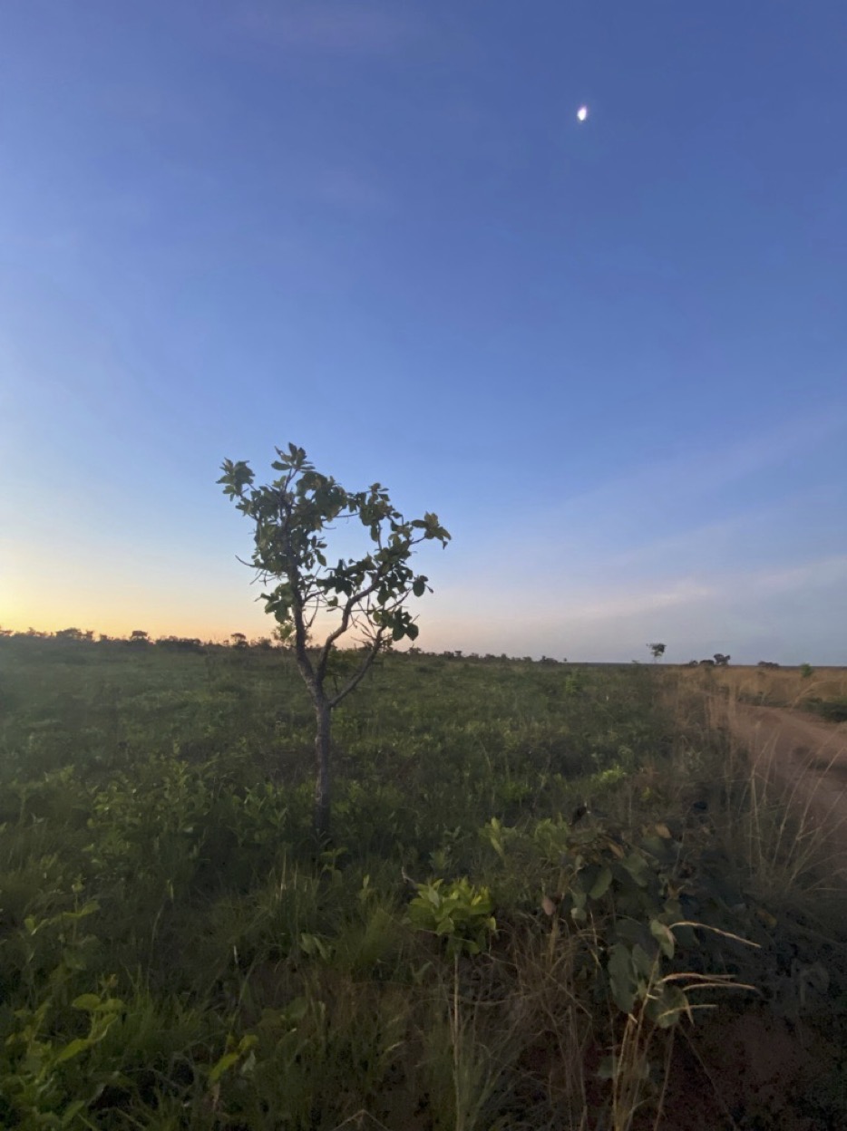 KJ Sunset