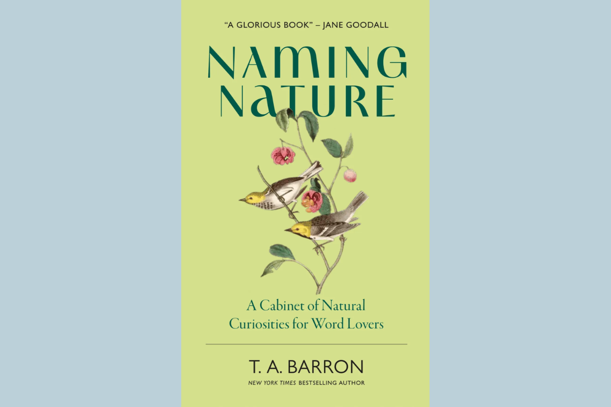 Naming Nature 3 2