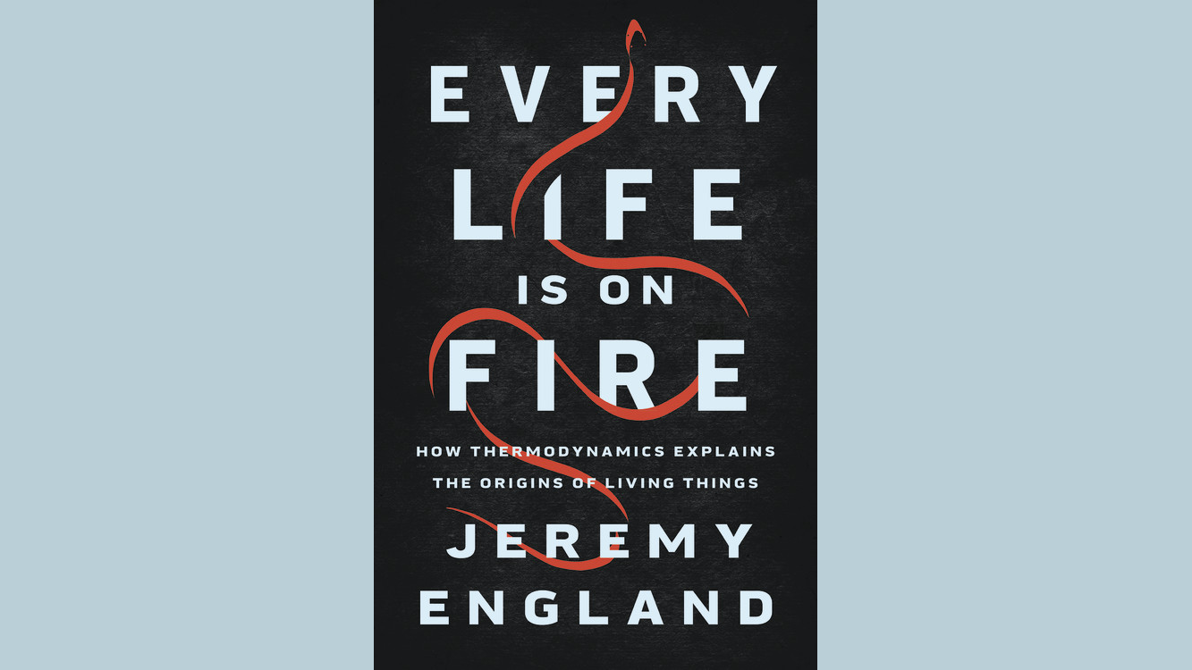 Every Life Is On Fire