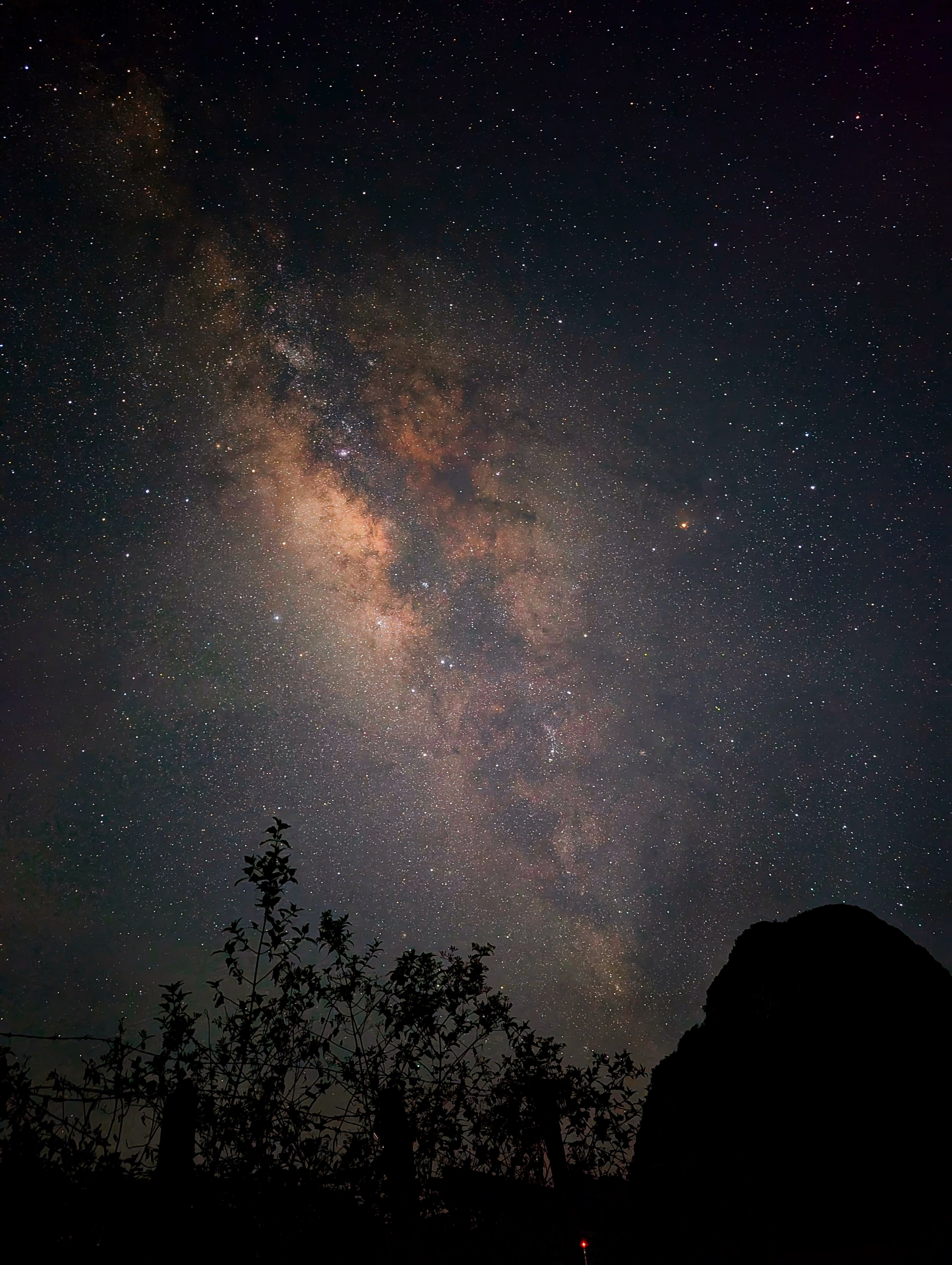The Milky Way from Quang Binh province, Vietnam. The Galactic Center, which contains the most extreme star formation activity in the Galaxy, is enshrouded in a thick band of dust, and therefore invisible to the naked eye. With powerful new observatories like the James Webb Space Telescope, its secrets can finally be revealed. Photo credit: Samuel Crowe.