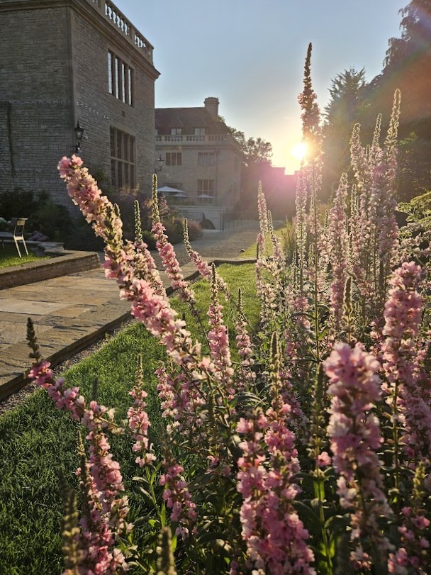 Flower border with Rhodes House and sunrise in the background.
