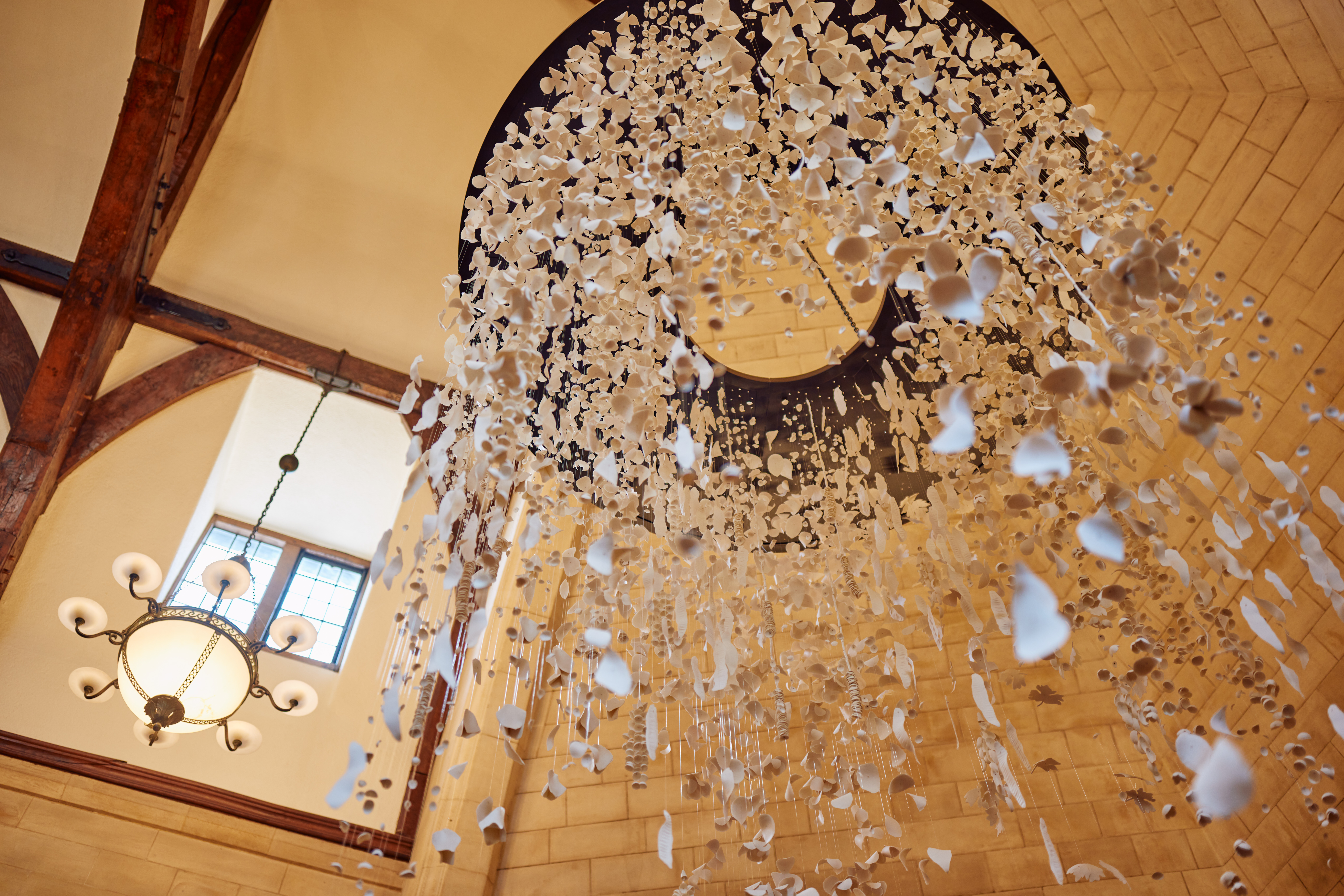 Rhodes House McCall MacBain Hall Floating Garden Sculpture photo from below