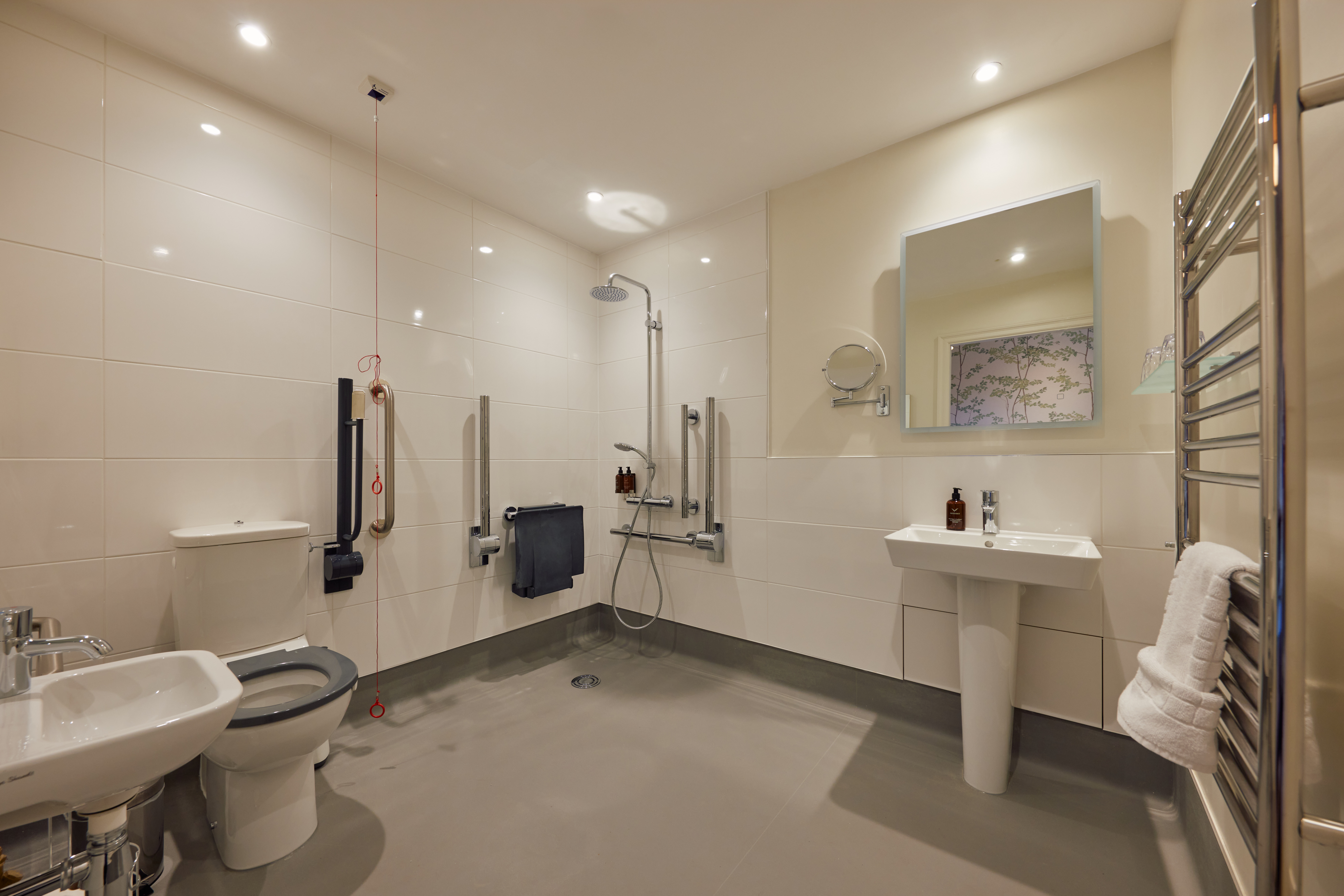 Rhodes House Accessible Bathroom With A Shower, Toilet, And Sink