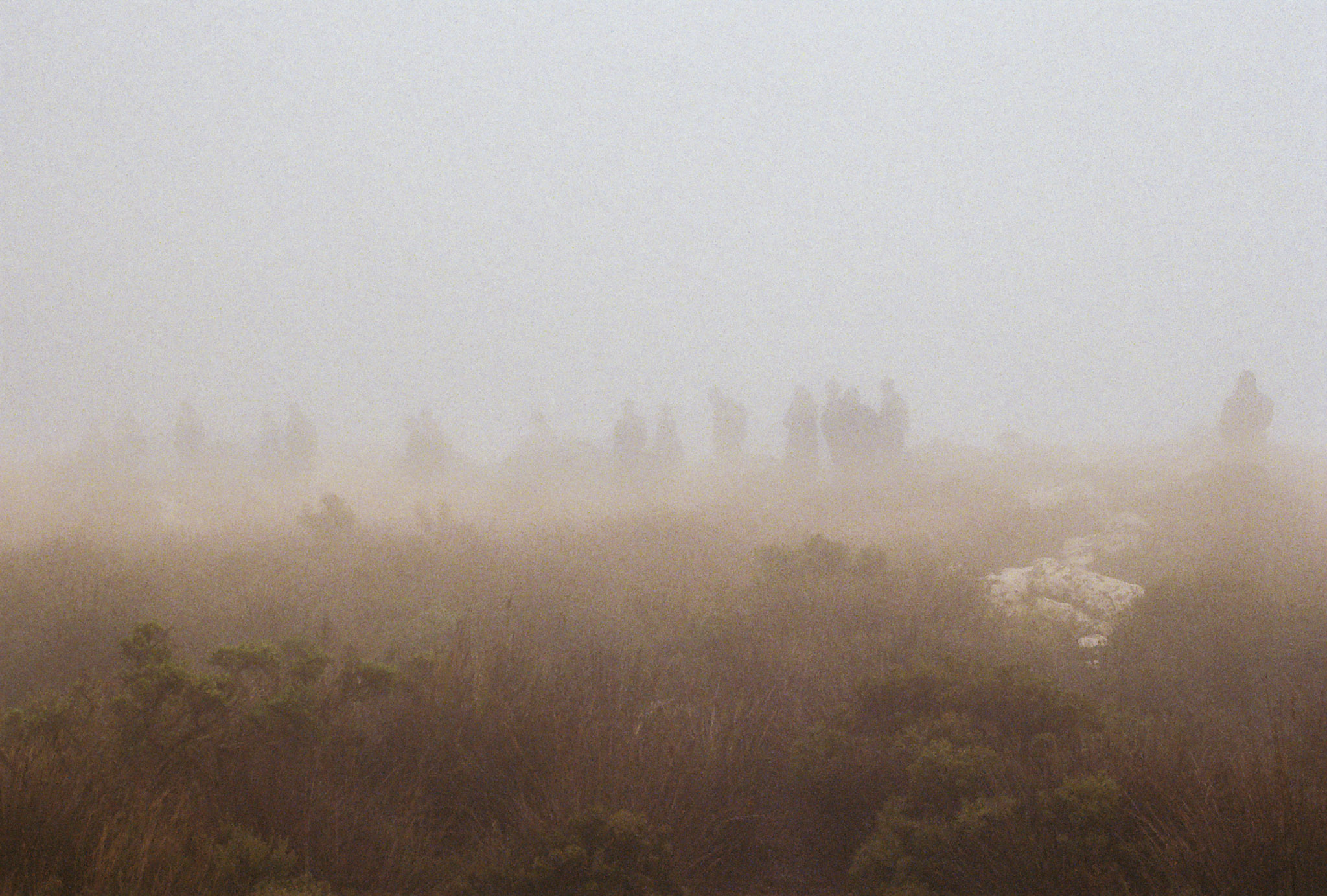 Rhodes Scholars huddled in hazy silhouette explore a misted trail in conversation along the top of Table Mountain's level summit, Cape Town