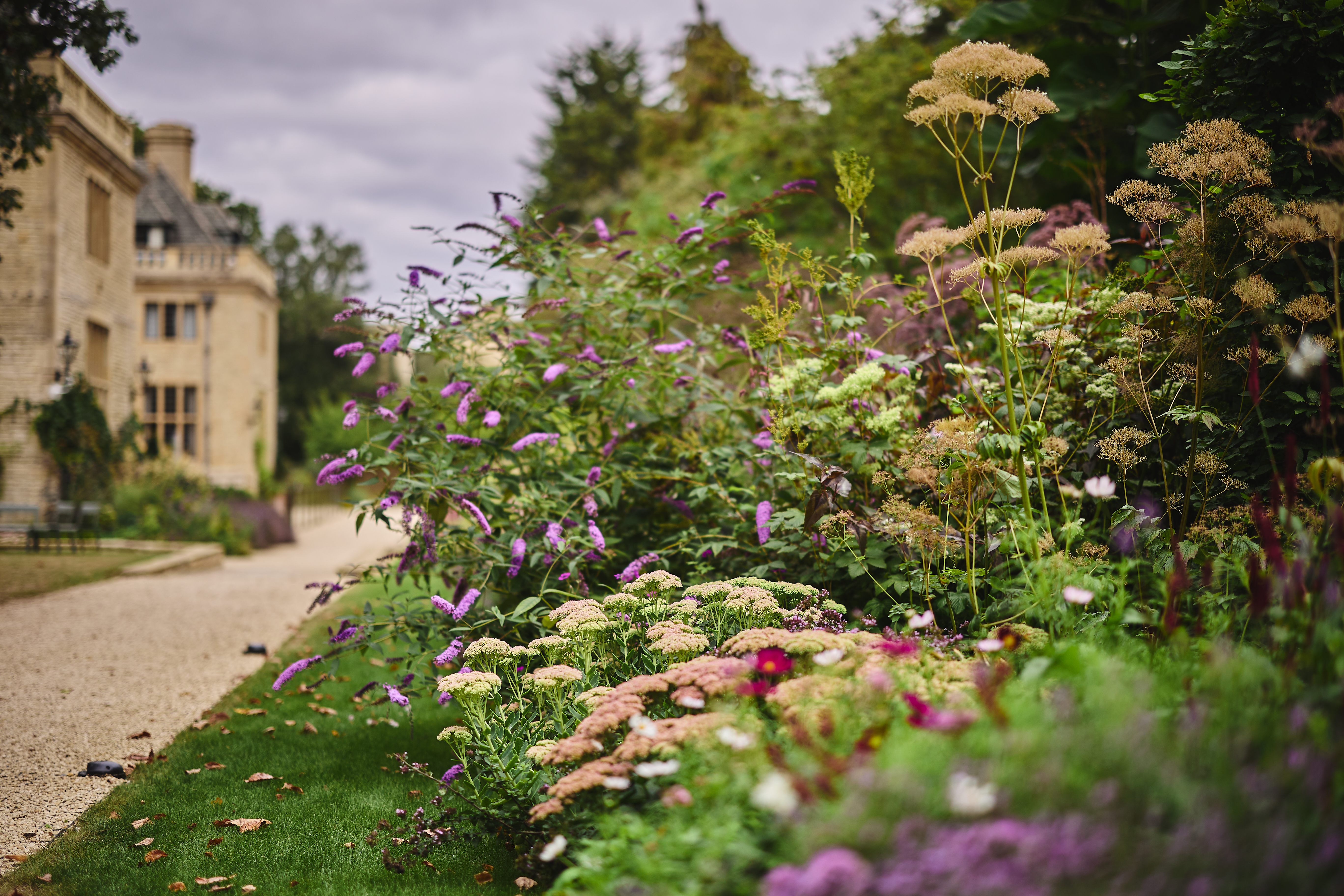 Vibrant flora in the Rhodes House gardens.