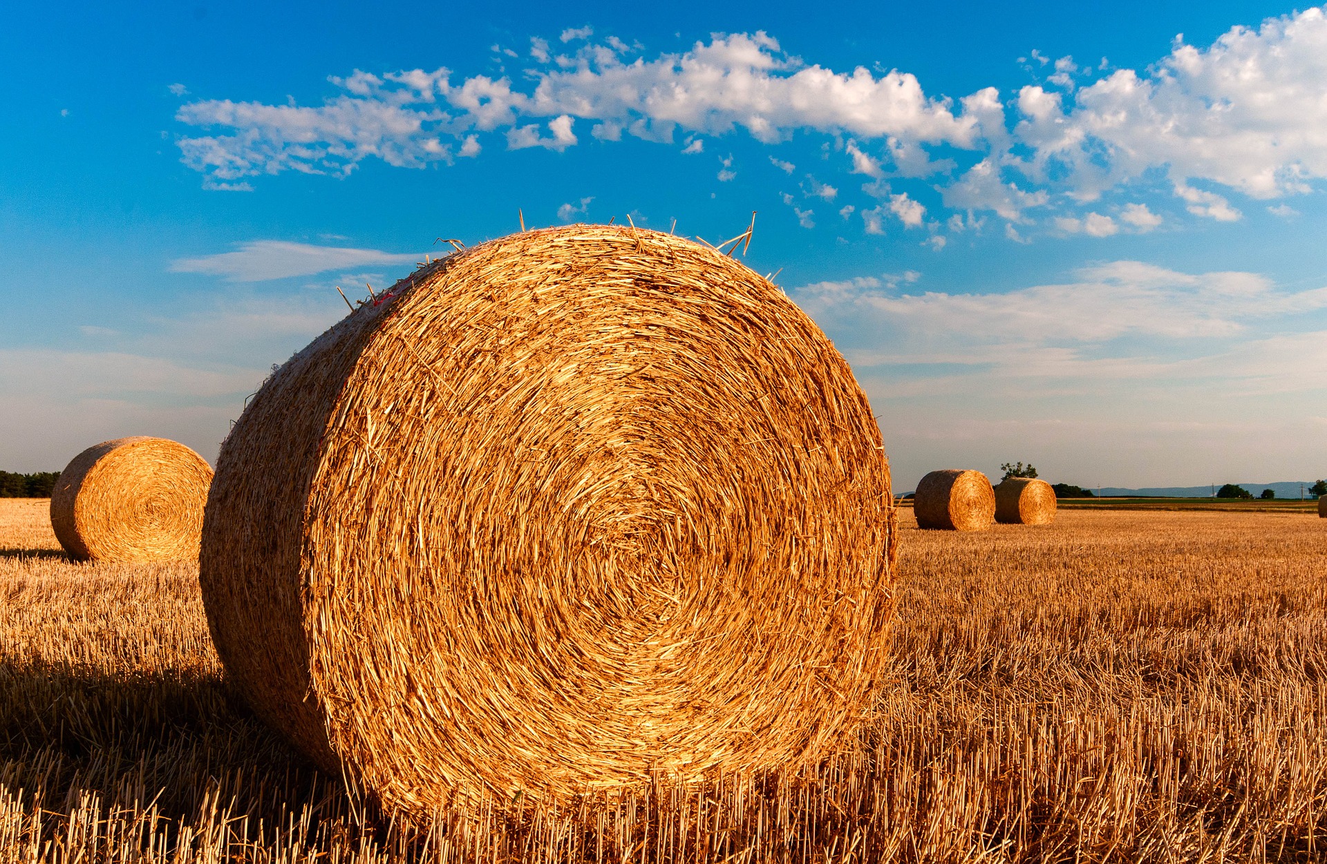 Bale Of Hay