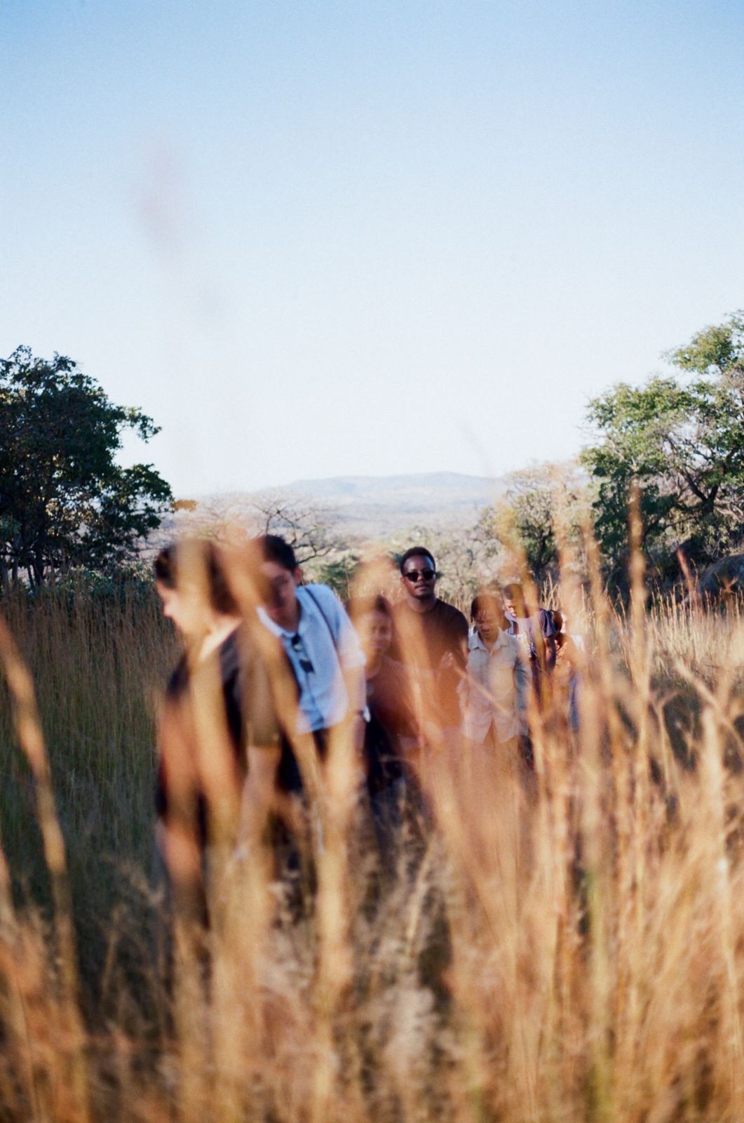 Rhodes Scholars are led along a narrow trail's ascending path towards the Great Zimbabwe Hilltop complex in the late afternoon sun, tall golden grass caught softly out of focus, obscuring the details of their bodily forms