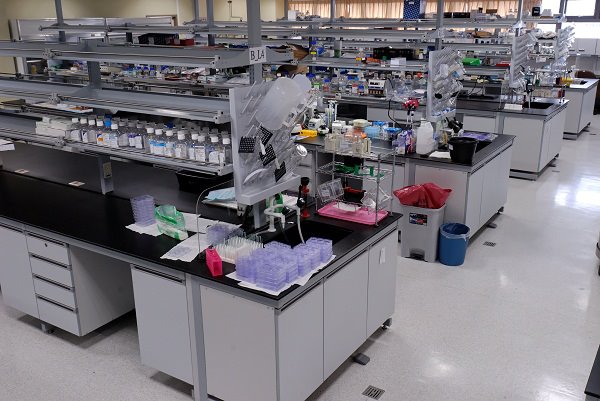 Lab Seeking A Cancer Free World