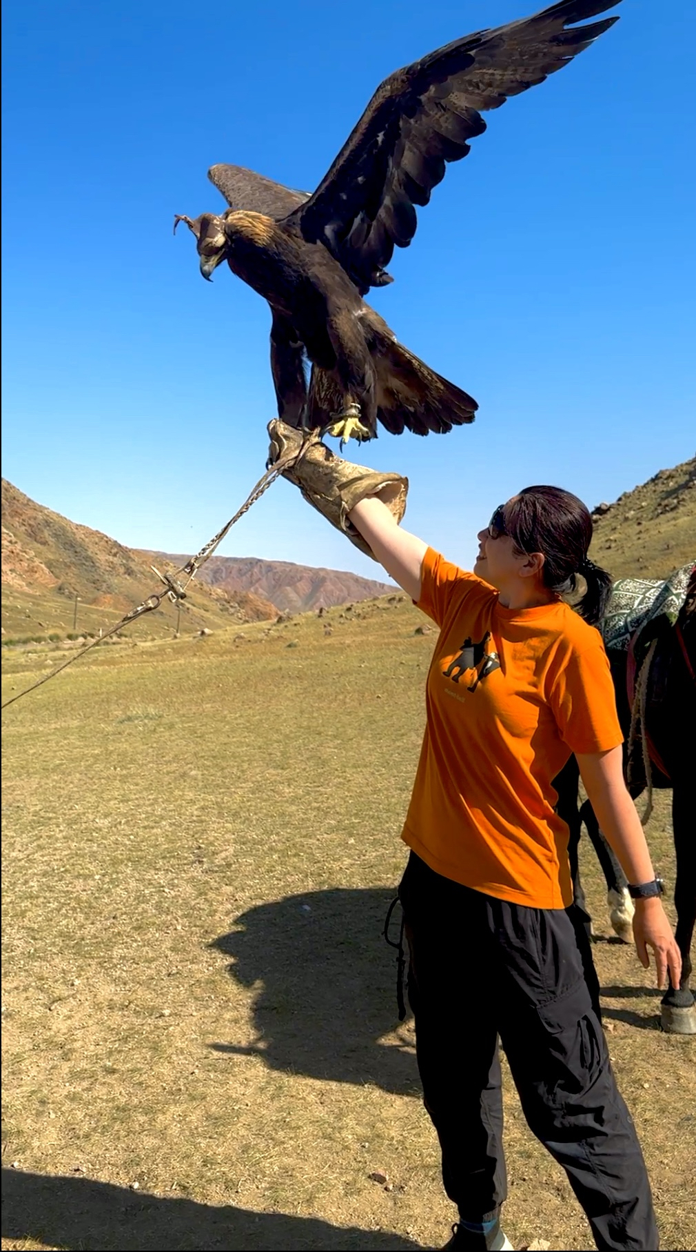 Travel Kyrgyzstan Golden Eagle