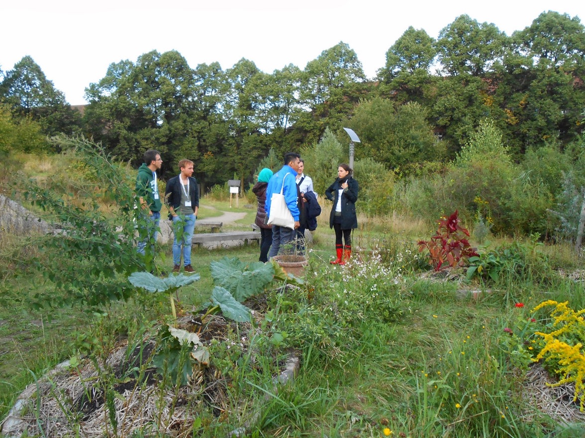Youth Community Garden
