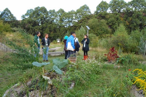 Nature: The heart of young peoples’ well-being in the twenty first century