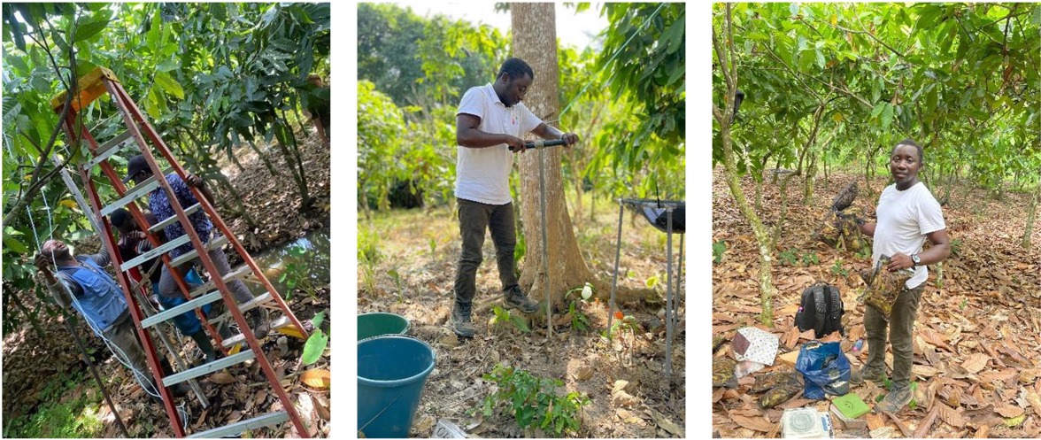 LL Installing Microclimate Station