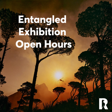 Rhodes House Entangled Exhibition Open Hours