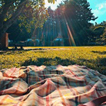 Summer Family Picnic