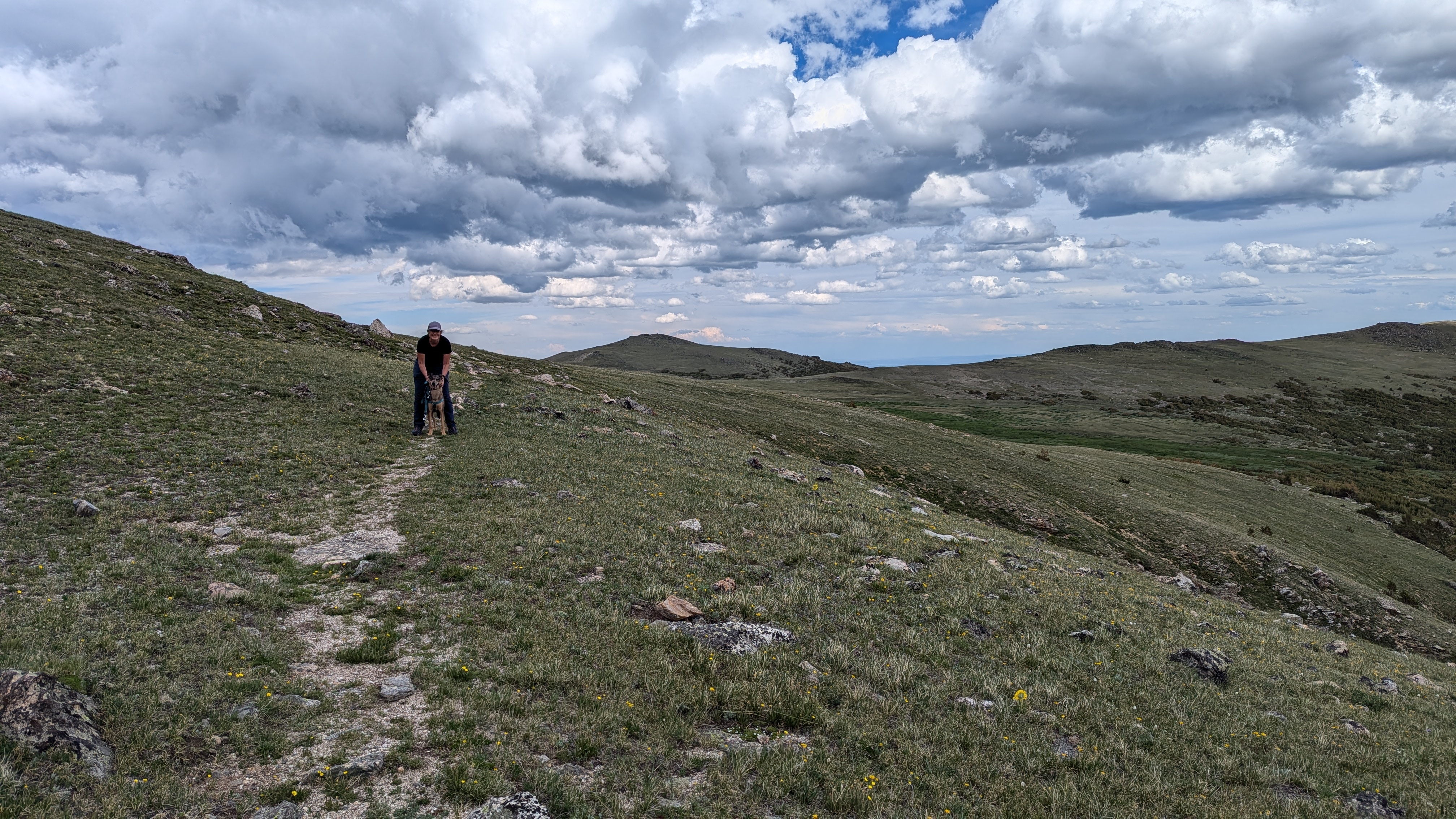 Jane stood on a hill, holding a dog and smiling.