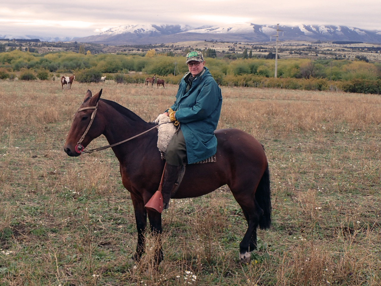 Peter on a field, sitting on top of a horse.