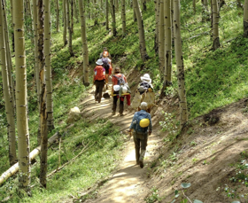Bringing Up The Rear On Return To Camp After Helping Lead Trail Project At 11,000 Ft. With Wildland Restoration Volunteers, On Mt