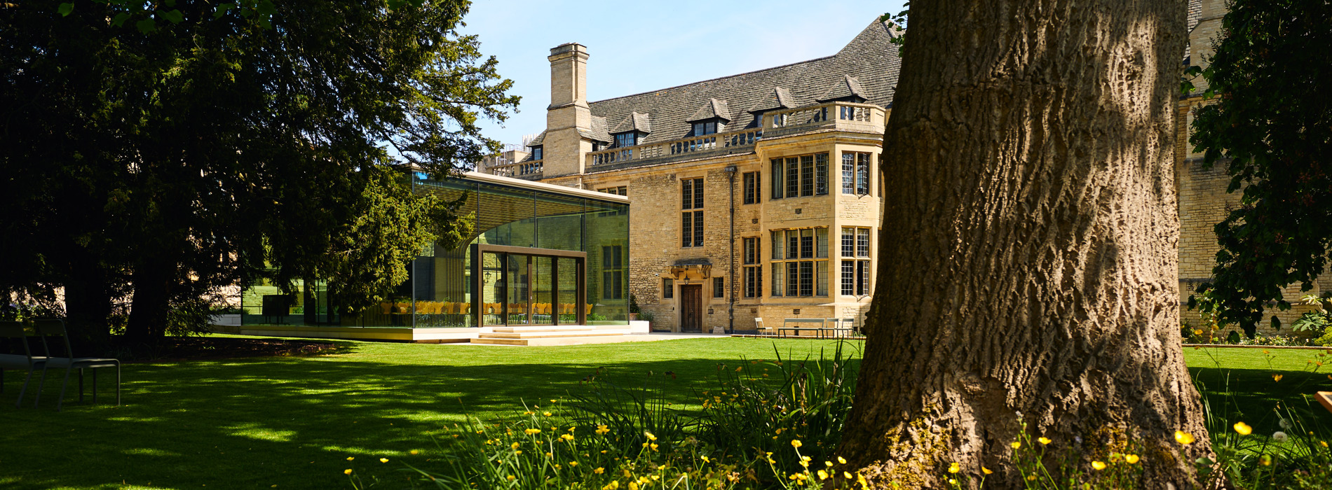 Rhodes House Glass Pavilion and lawn in the sunshine with a large tree and yellow flowers in the foreground.