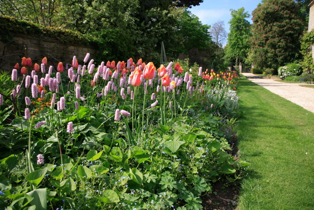 Pink flowers in Rhodes House