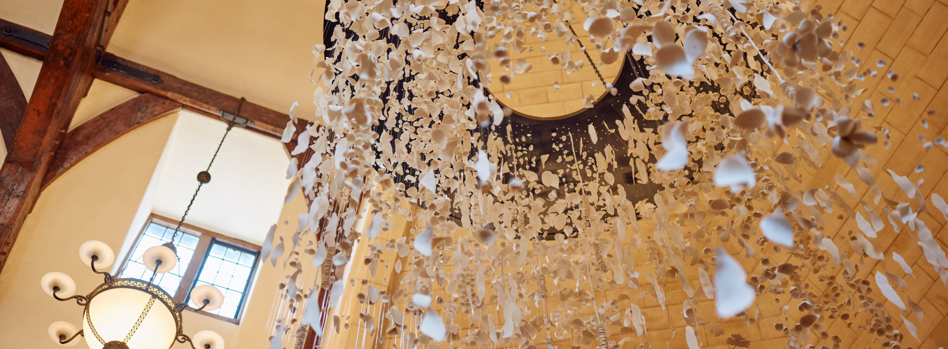 McCall MacBain Hall Floating Garden Sculpture photo from below