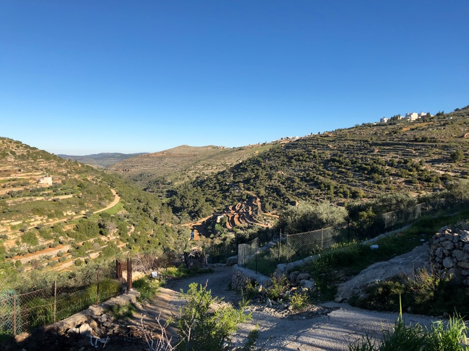 Rhodes Scholars Palestine 5