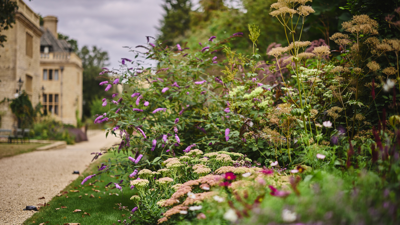 Vibrant flora in the Rhodes House gardens.