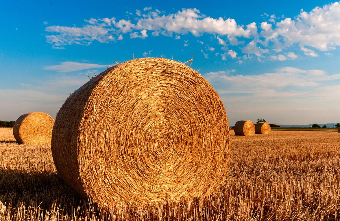 Bale Of Hay