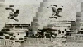 Whatsapp Image 2025 06 26 At 2.31