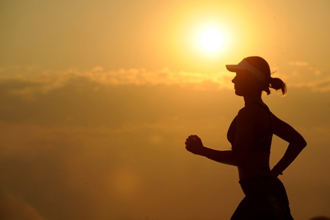 Can Evolution Inform Human Health? Game Theory, Genetic Conflict, and Obesity.