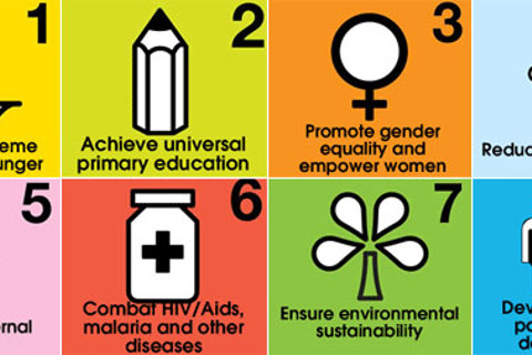 A Lack of Political Leadership Deterred African Countries From Making Substantial Progress on the Health-Related MDGs