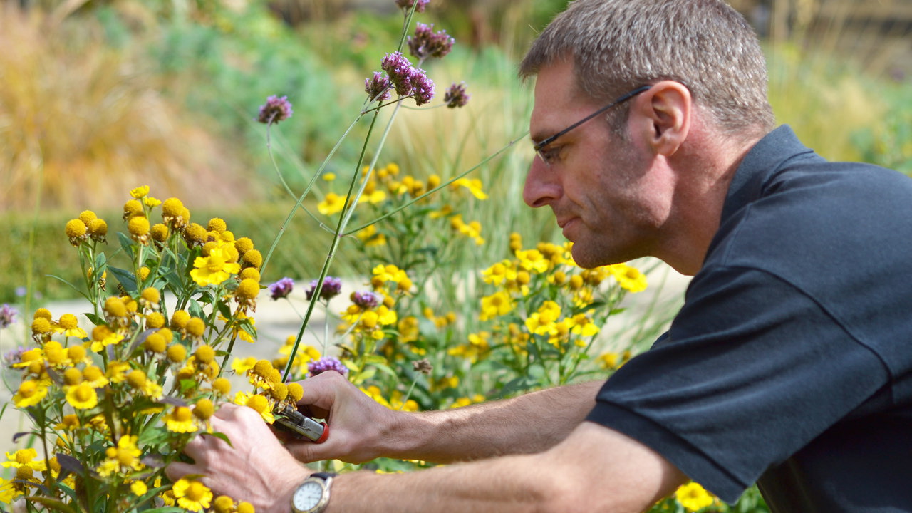Rhodes House Head Gardener Neil Wigfield Tending To A Flower Bed