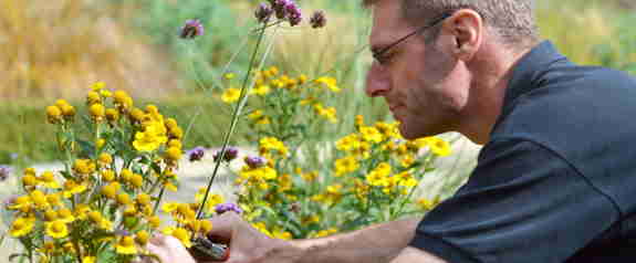 Rhodes House Transformed | Rhodes Trust