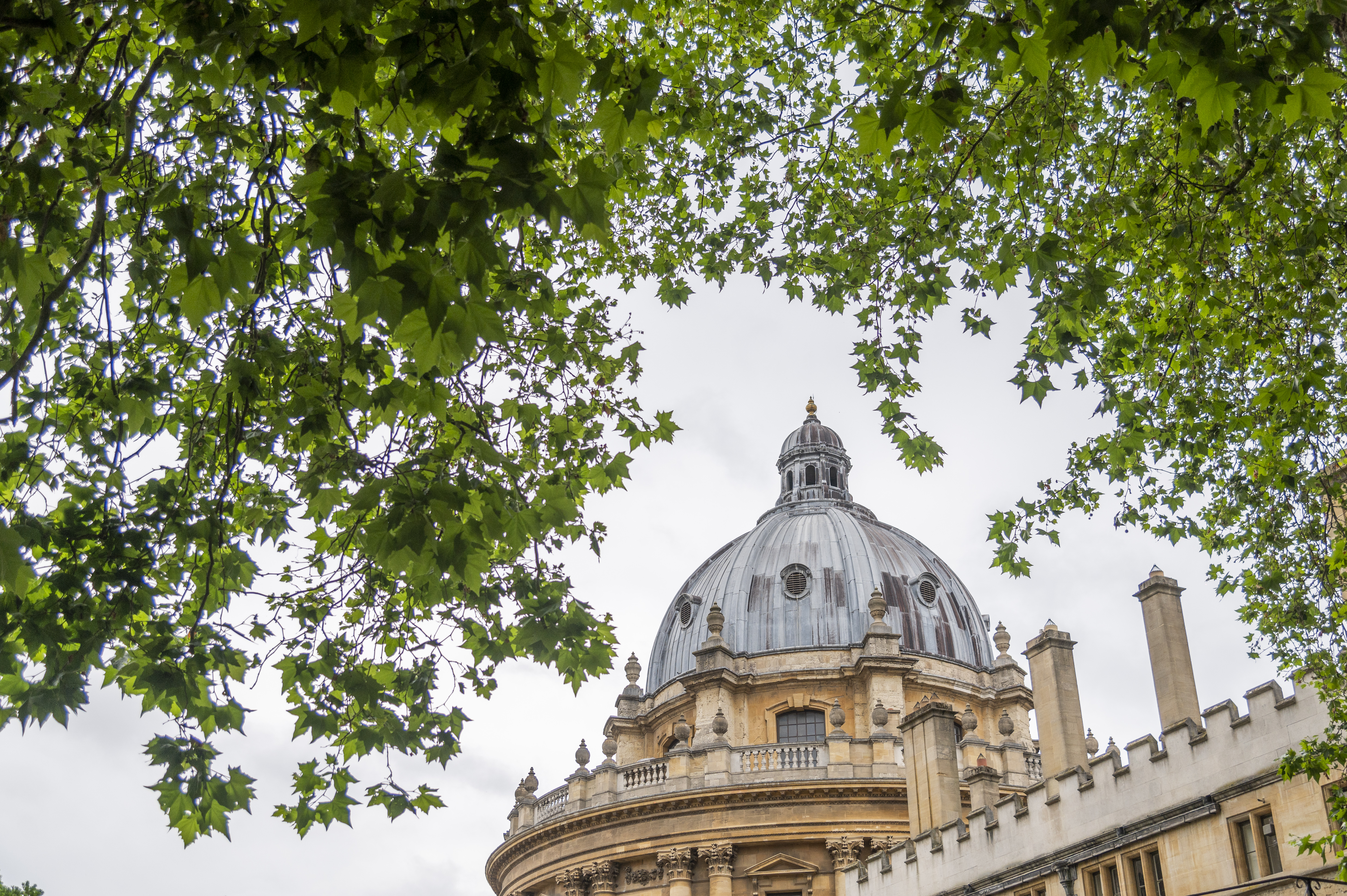 Radcliffe Camera with trees