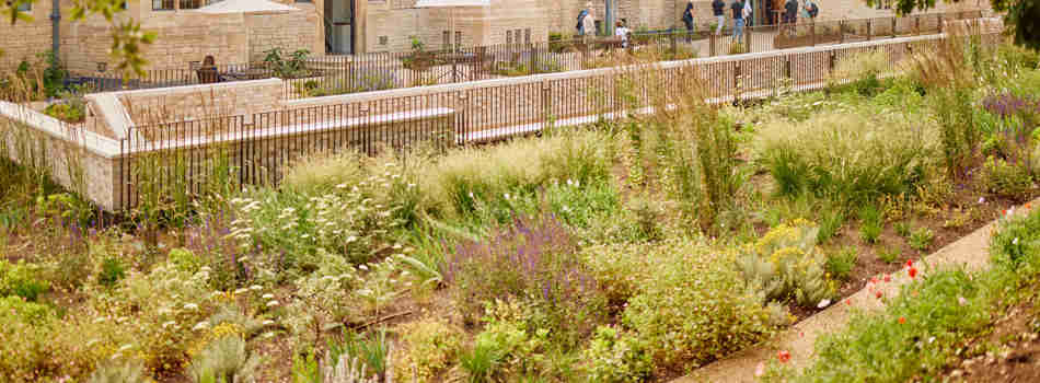 Rhodes House Gardens Overlooking Accomodation Block